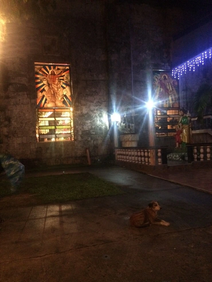 attachImage_401394097.jpeg?type=w2