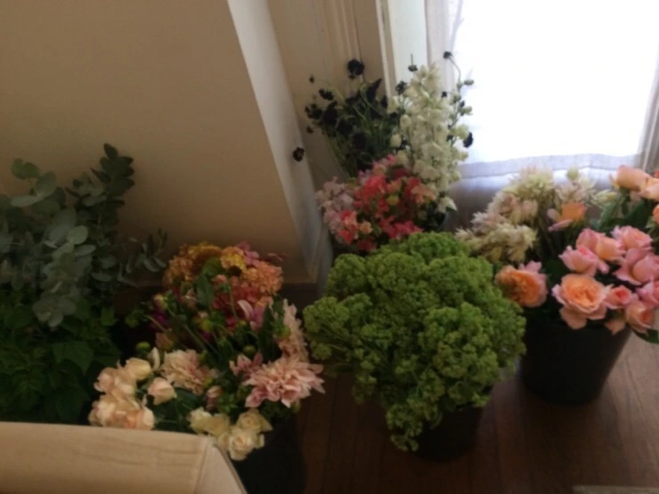 attachImage_4063426299.jpeg?type=w773