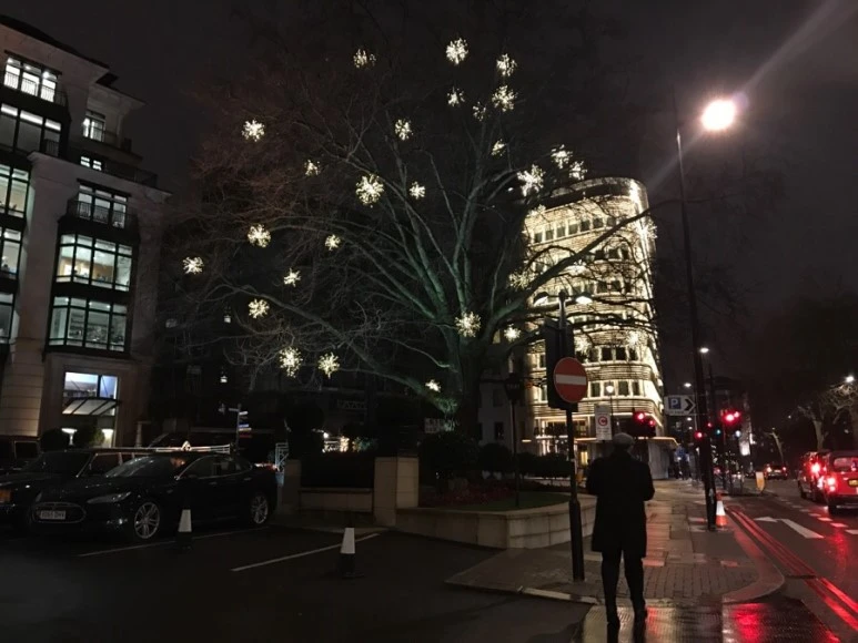 IMG_0626.jpg?type=w773