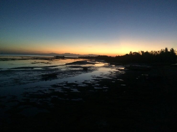 attachImage_491675680.jpeg?type=w2