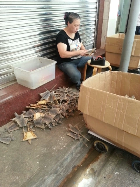 1373652357293_20130705_135105.jpg?type=w2