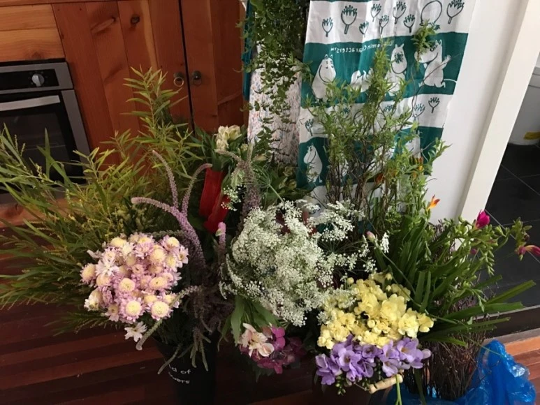 IMG_0875.jpg?type=w773