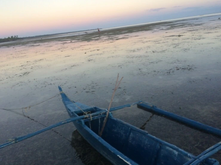 attachImage_1585004159.jpeg?type=w2