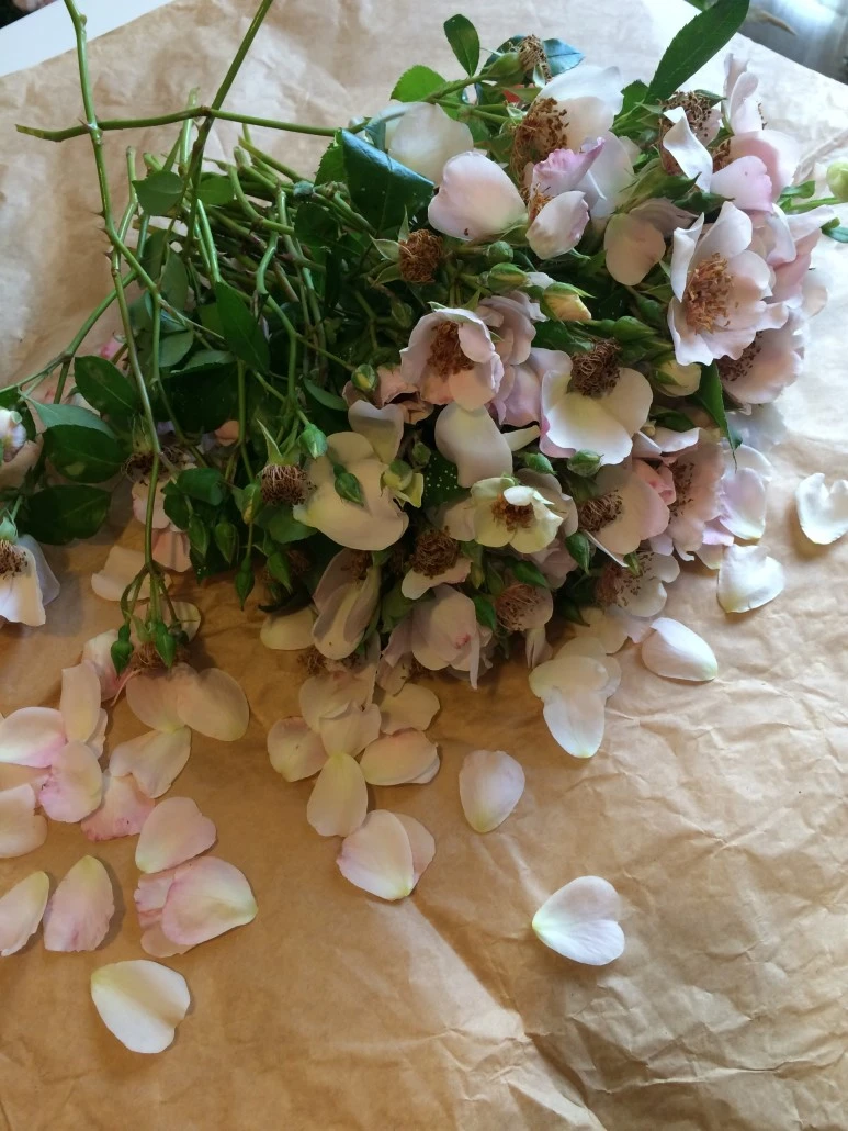 IMG_8520.JPG?type=w773