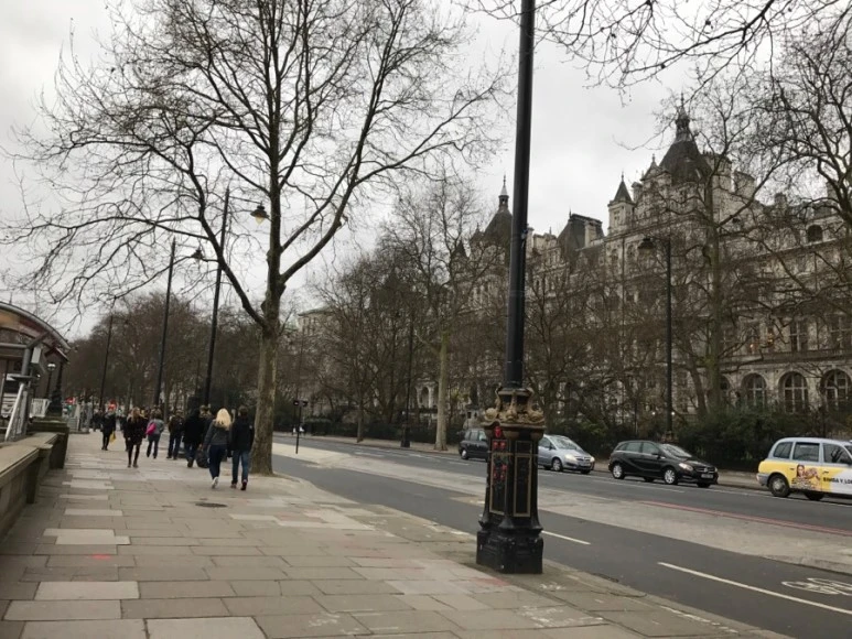 IMG_0689.jpg?type=w773