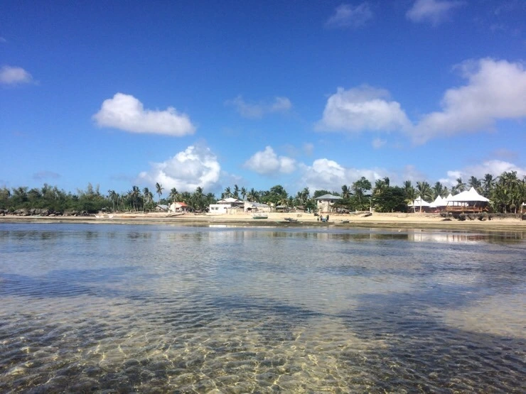 attachImage_2623111901.jpeg?type=w2