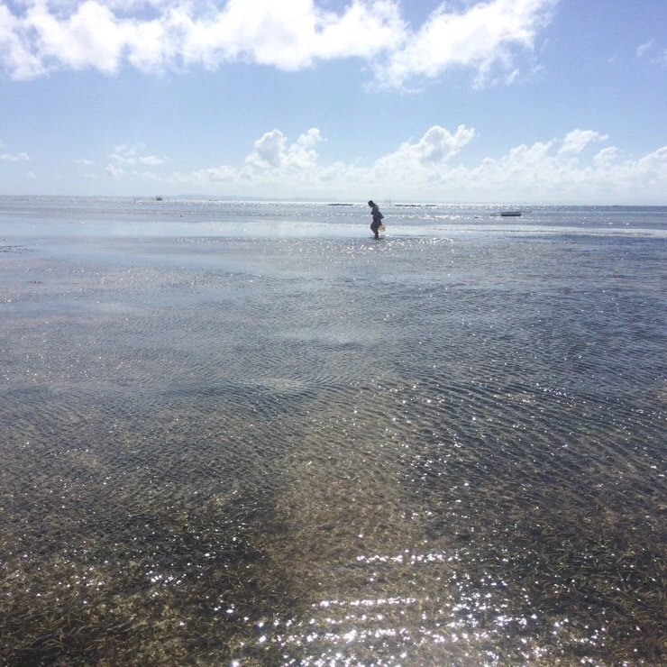 attachImage_1972503921.jpeg?type=w2