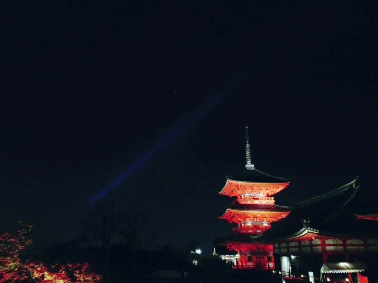 IMG_1969.JPG?type=w773