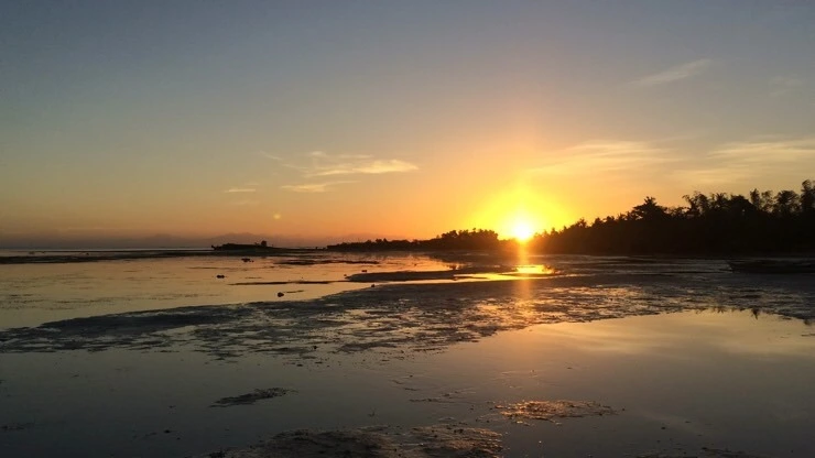 attachImage_2833350879.jpeg?type=w2