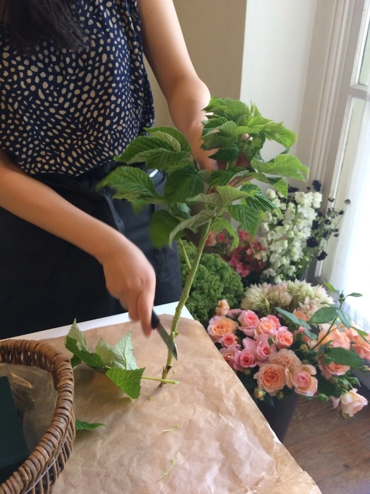 attachImage_2964052163.jpeg?type=w773