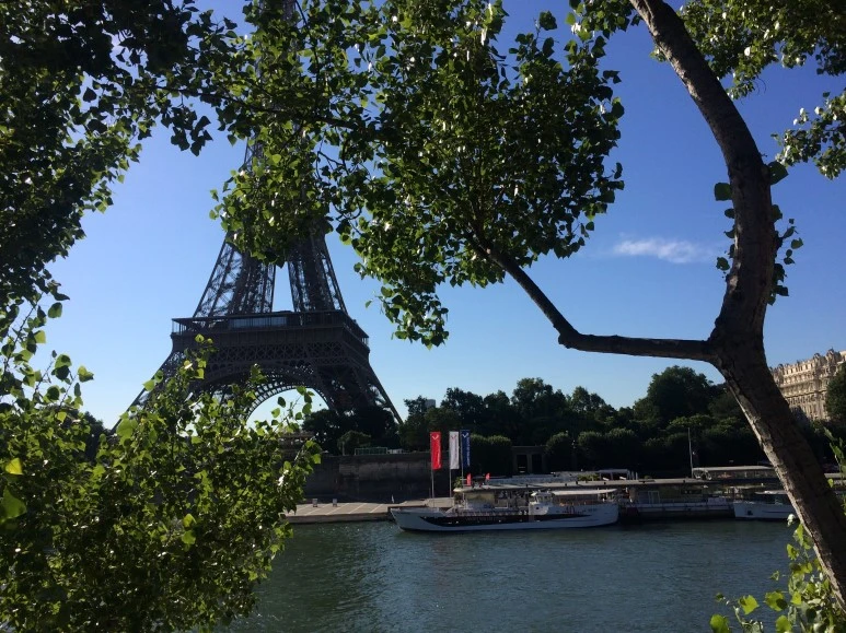 IMG_8510.JPG?type=w773