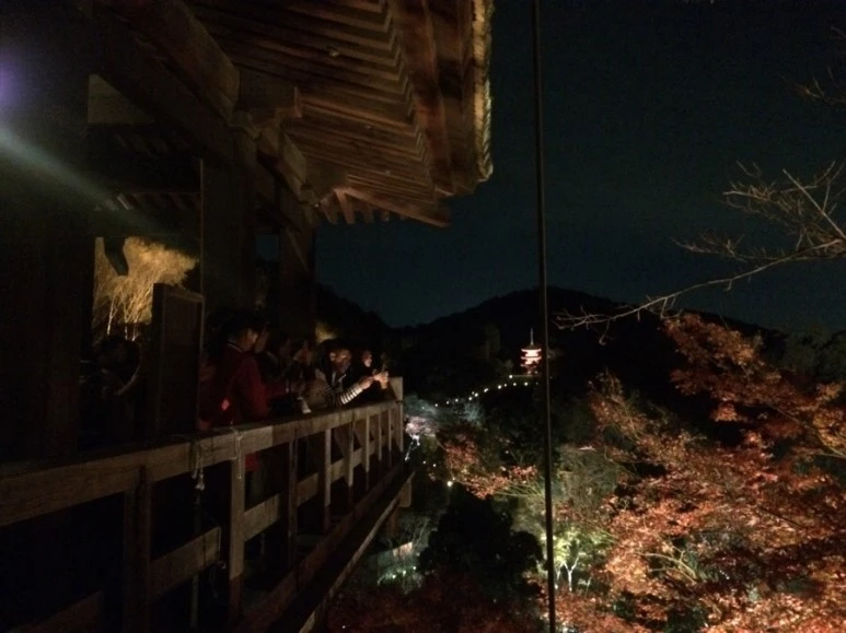 IMG_1960.JPG?type=w773