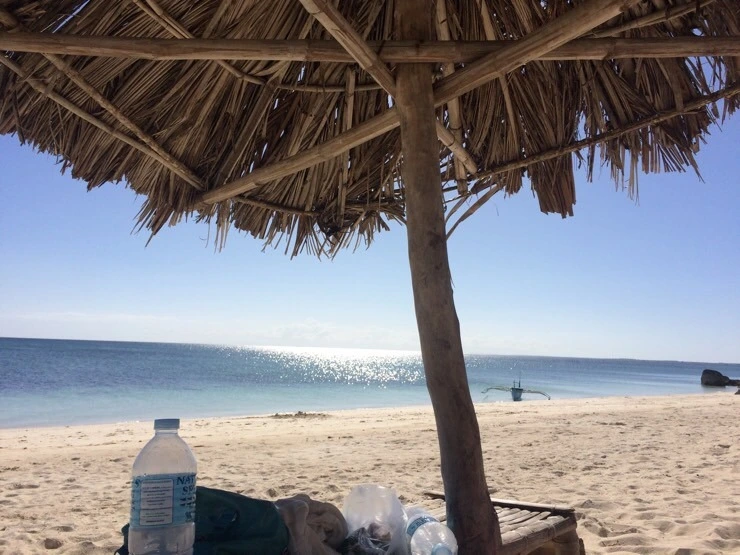 attachImage_1996092034.jpeg?type=w2