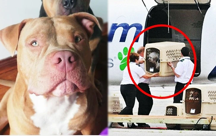 99DE91466008F8E00F035B