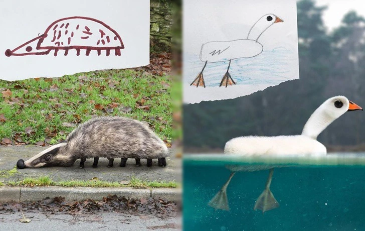 9943BA3E5F17CFCF185233