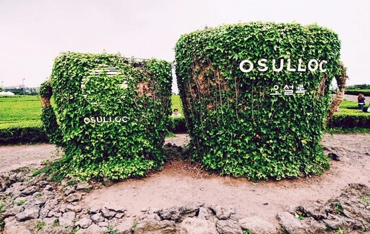 9973B24A6004DEA3076DD2