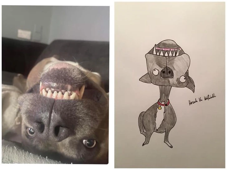 99CDC5485F927106109286