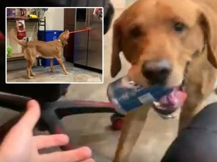 997A4B4760060A4605DDF8