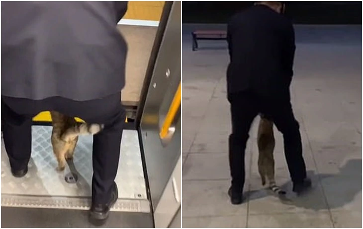 99C1D0385FCC354E0C8C3B