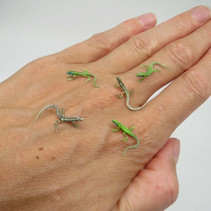 99A32B385F199B272B7536