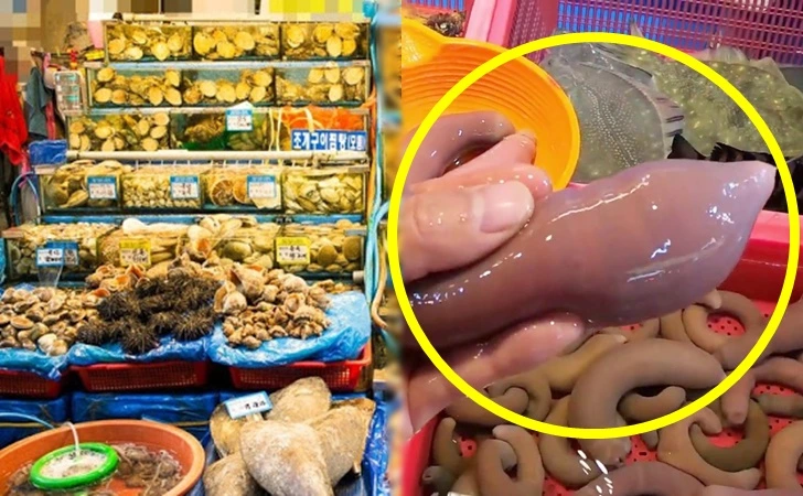 991D99415FDD8C351A7B1A