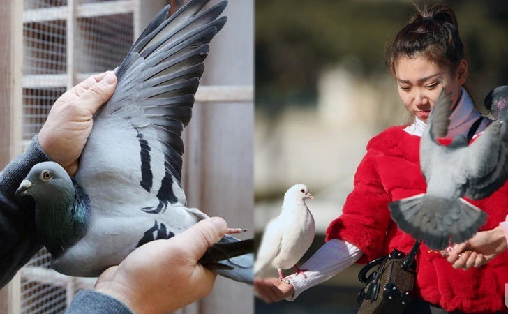 99019B465FD8038808D0B9