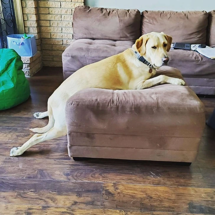 99D0634C5FEA6350078477