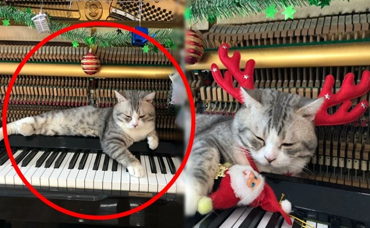 997A0C335FE8272D14CB8E