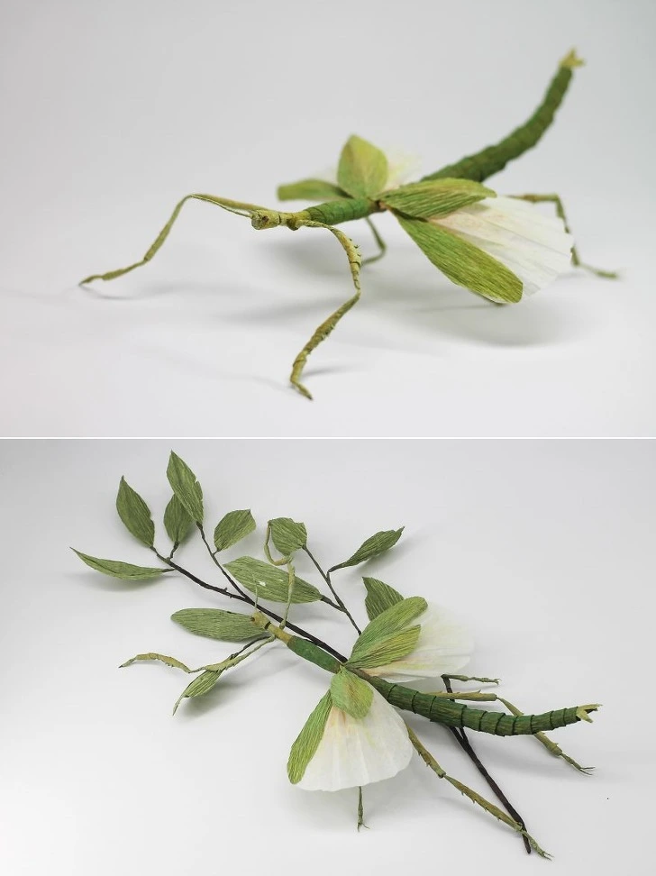 99CEE83D5D2736CE2619B6