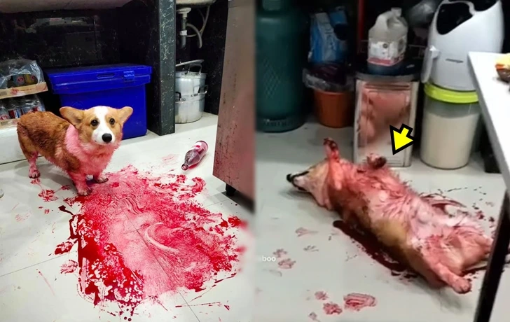 99B21D36600E0F570F4819