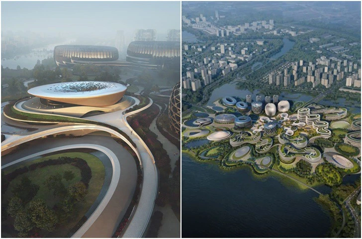 99625D375E256A482255F5