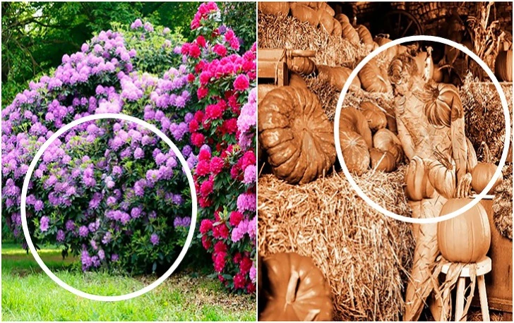 994B8B4B5F51C92103AA3D