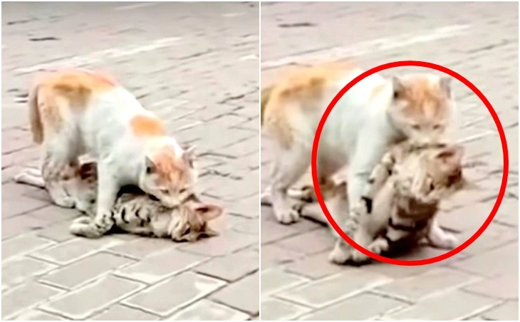 99631B495FE29C2E10E7F1