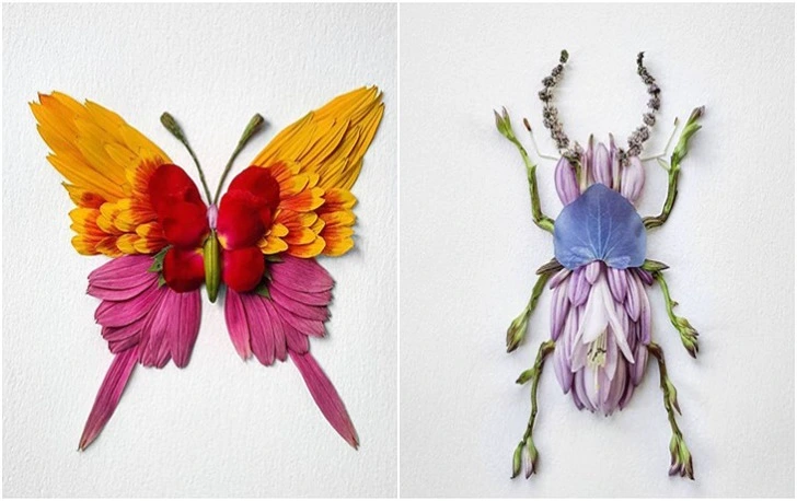 99371B365F4265C4044E90