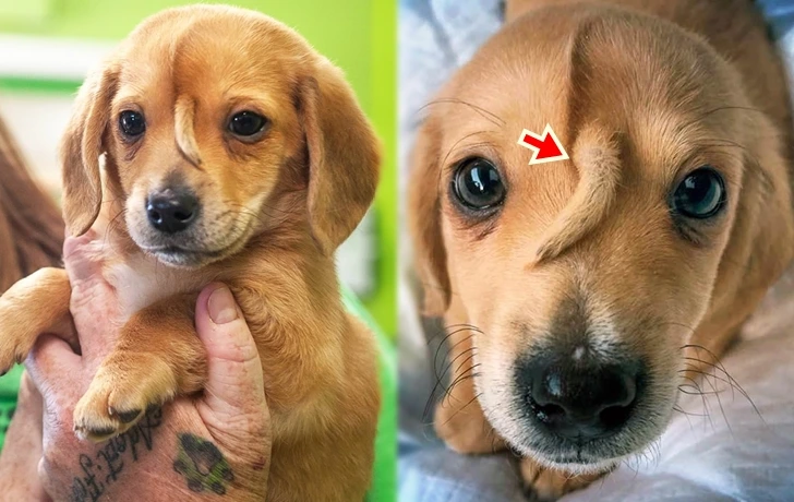 99E0113A600CE37D10AD30