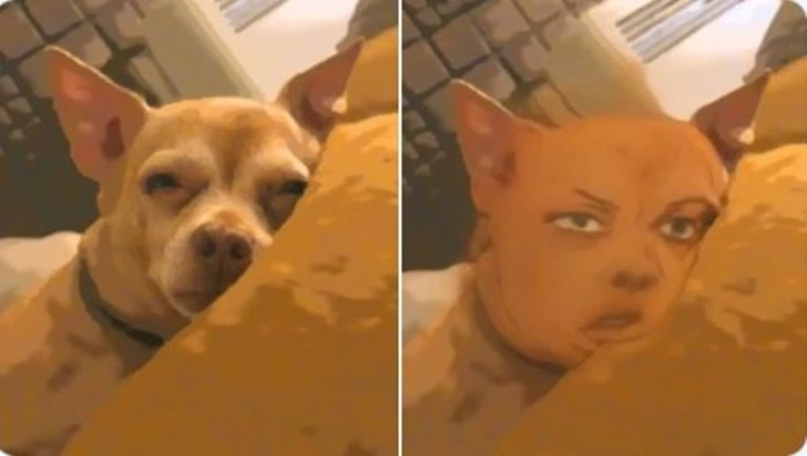 9996354A5F6ED155236C86