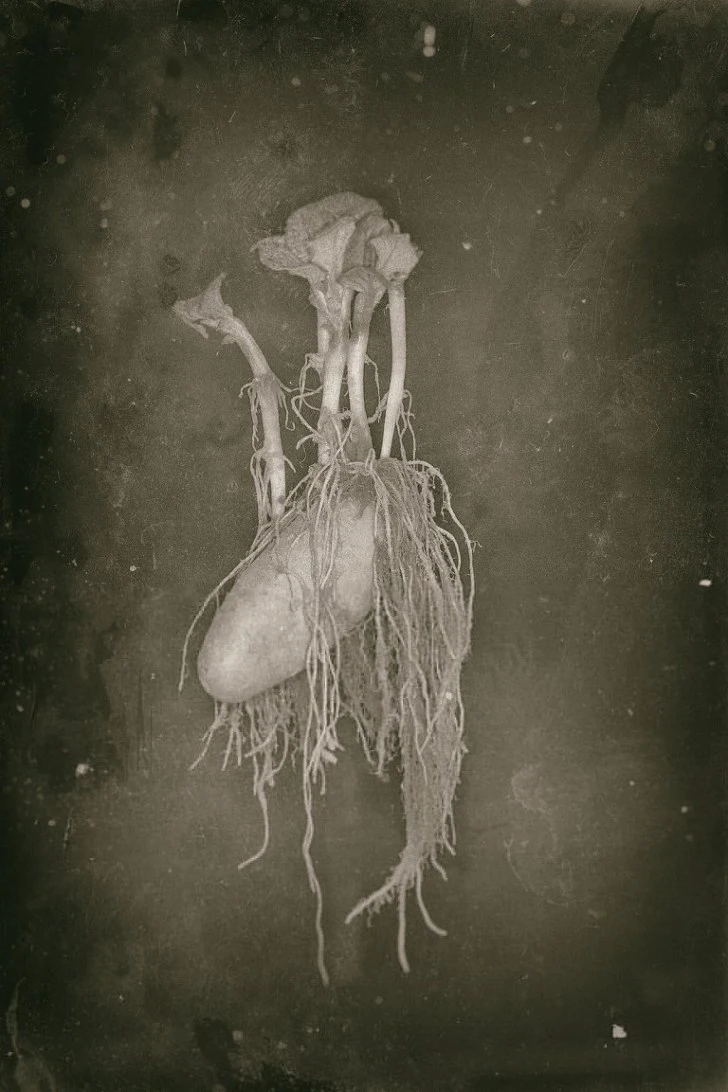 9948A6465F238D27283A5F