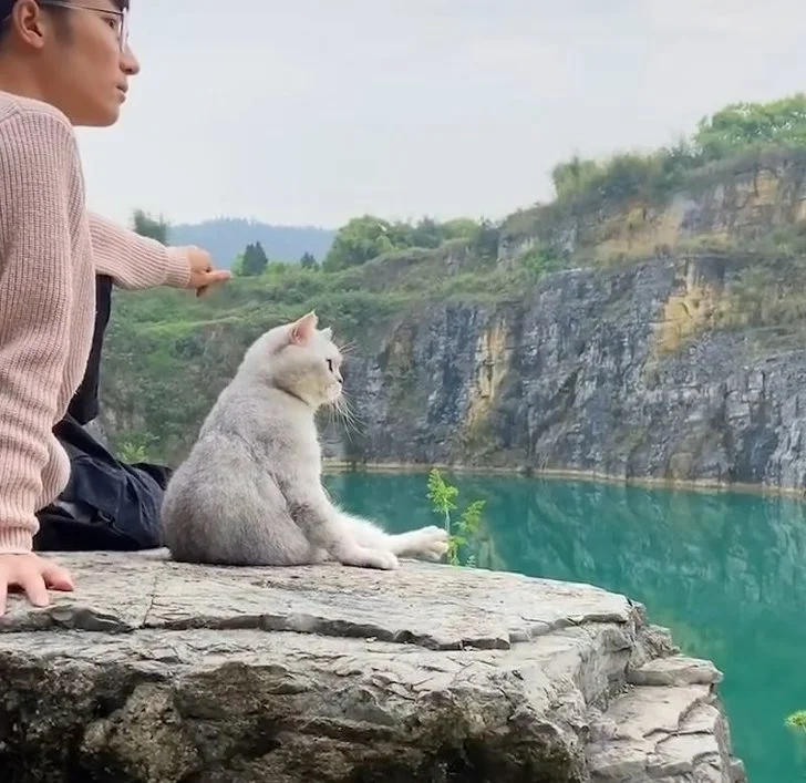 9918643E5EEDBECE06B156