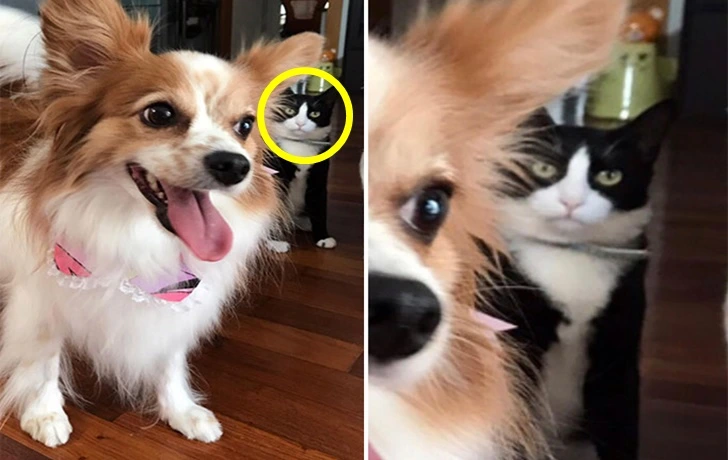 9938BC495F62A1381161B0