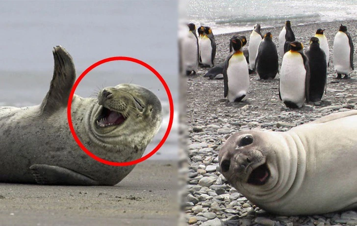 9969F7465F2CE9A20D94DB