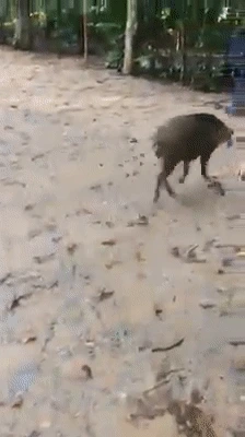 99DF21385FBB6EEA0651CA