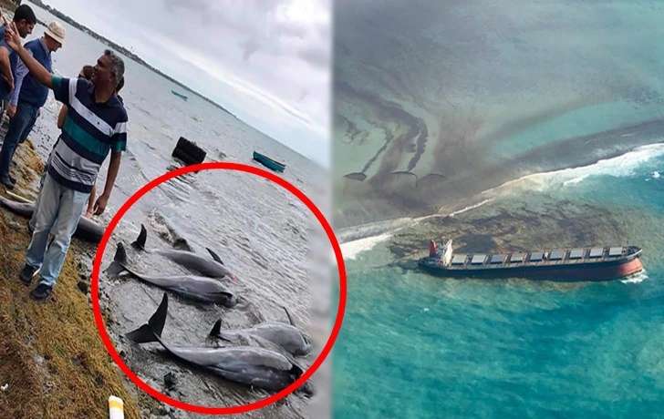 990583465F4C59E82B6EA7