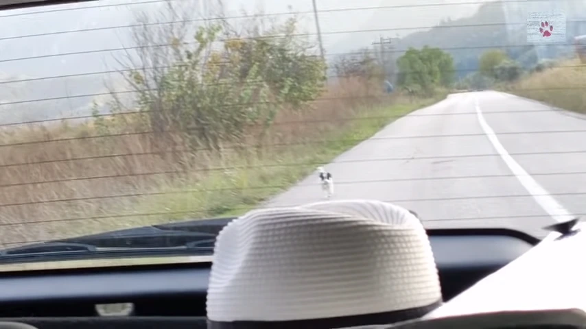 9933FC4E5FD97EA912807E