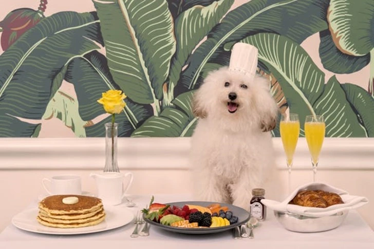 999F51345F8842A41D318A