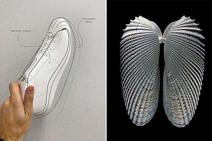 99B3134B5FD2C0860A872C