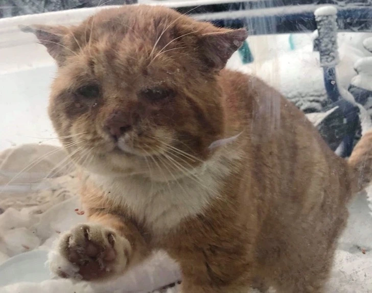 99CAAA395FEEDB5913C901