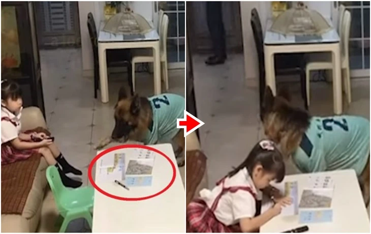 99DD91465F6BFC5F18A3DE