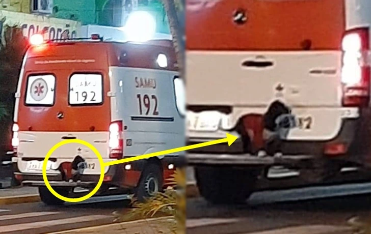 99B9A34A5F9524130EC9A6