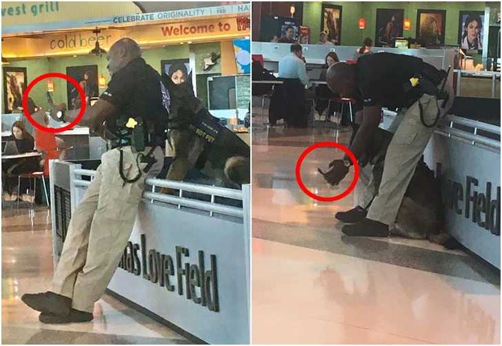 99C28E435E4E168F2CC20D