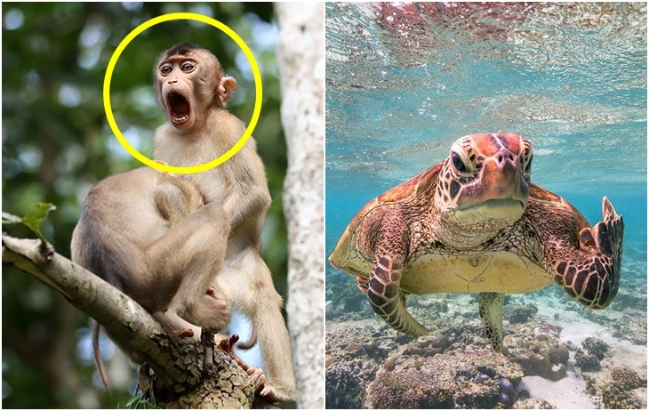 99BF434C5F5C03140F5865